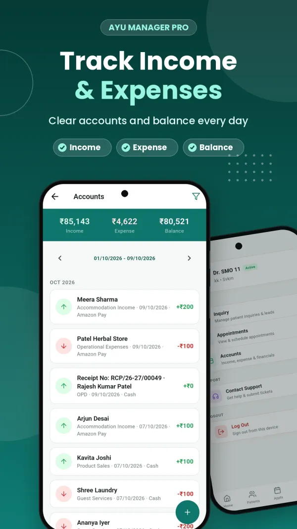 Ayumanager PRO app accounts screen with income, expense and balance